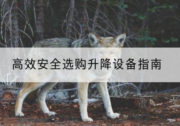 罗城升降货梯厂家推荐-*安全选购升降设备指南