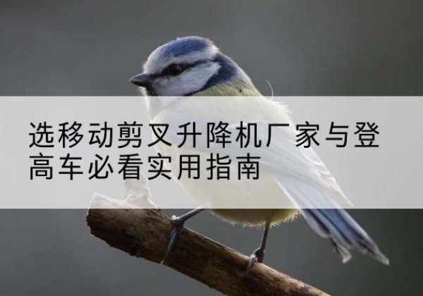 罗城电动升降机厂家-选移动剪叉升降机厂家与登高车必看实用指南
