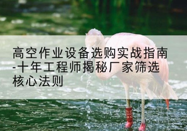 罗城剪叉式升降机厂家-高空作业设备选购实战指南-十年工程师揭秘厂家筛选核心法则